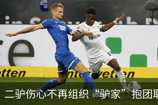 二驴伤心不再组织“驴家”抱团取暖！奶豆鼓动“驴家”全员去柬埔寨。驴姐 三亚结束！