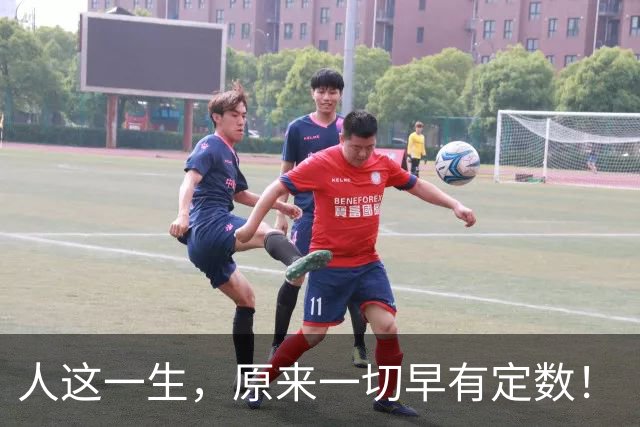 人这一生，原来一切早有定数！（看哭无数人）