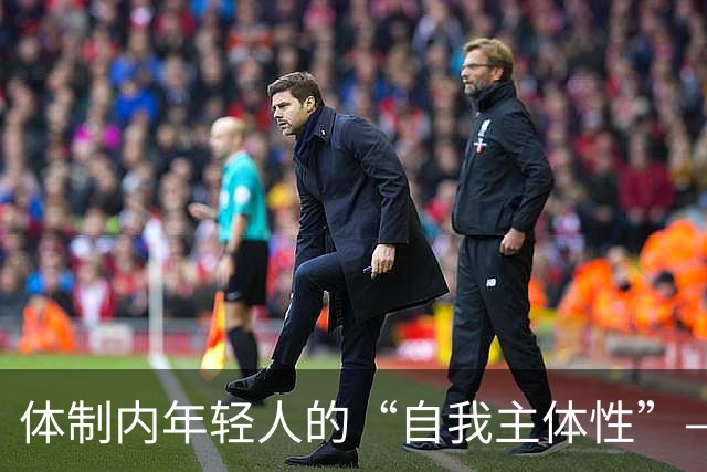 体制内年轻人的“自我主体性”——不拼、不想提拔、只关注自我感受，是“活明白了”，还是“被时代裹挟了”？