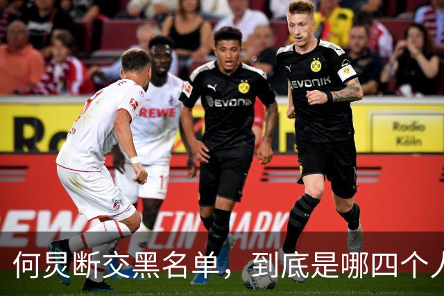 何炅断交黑名单，到底是哪四个人？刘烨薛之谦张大大白敬亭呼声高