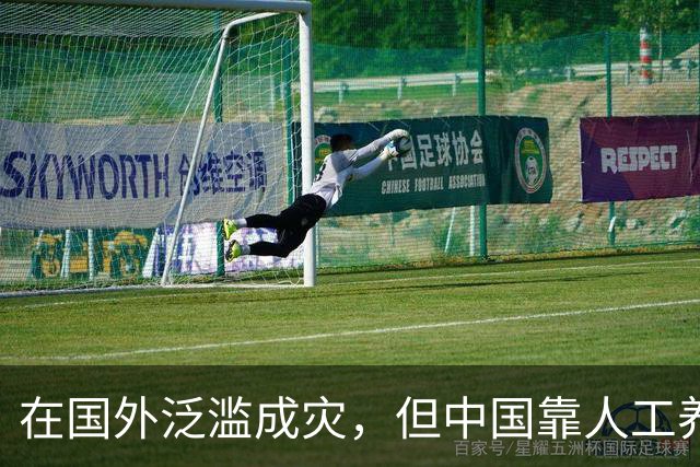 在国外泛滥成灾，但中国靠人工养殖，国外甚至每年花50亿元难消灭