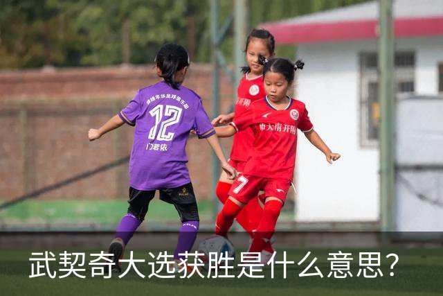 武契奇大选获胜是什么意思？