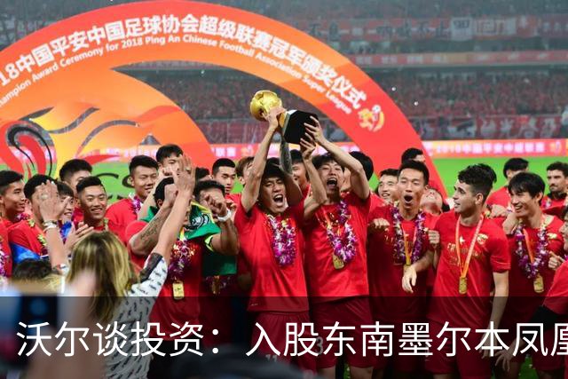 沃尔谈投资：入股东南墨尔本凤凰、功能饮料品牌和奥迪汽车经销商