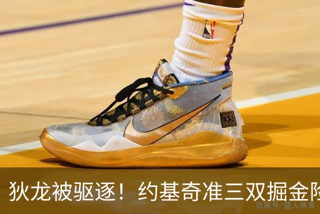 狄龙被驱逐！约基奇准三双掘金险胜太阳 穆雷39+7三分布劳恩31分