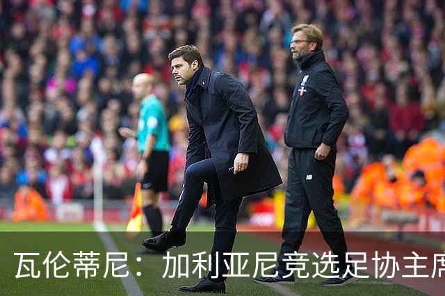 瓦伦蒂尼：加利亚尼竞选足协主席，意甲内部存在分裂