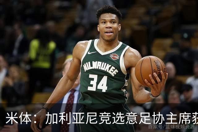 米体：加利亚尼竞选意足协主席获两大协会力挺