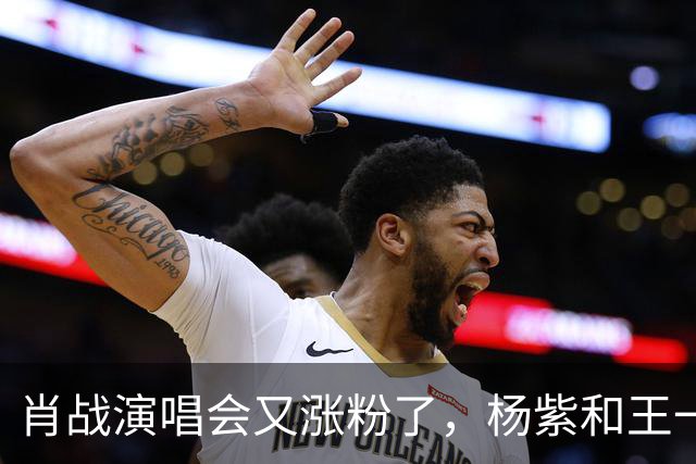 肖战演唱会又涨粉了，杨紫和王一博都被照顾了！