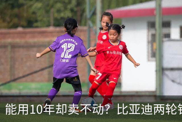 能用10年却卖不动？比亚迪两轮锂电池，为何败给几百块的铅酸？