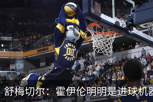 舒梅切尔：霍伊伦明明是进球机器，维韦尔来了偏要换成谢什科
