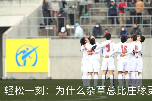 轻松一刻：为什么杂草总比庄稼更顽强？