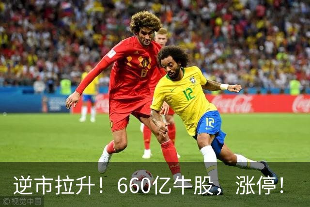逆市拉升！660亿牛股，涨停！