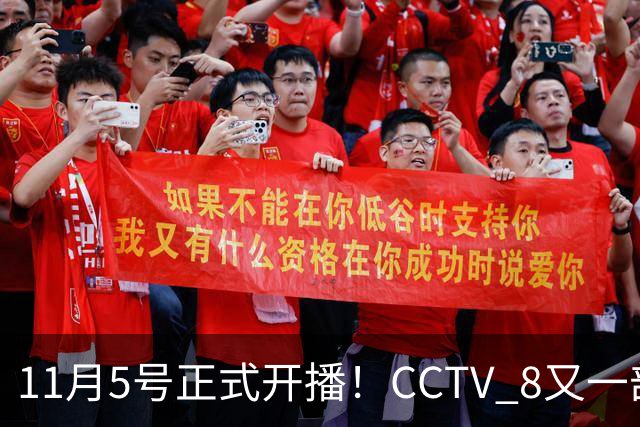 11月5号正式开播！CCTV 8又一部好剧来袭，主角配角我都很喜欢