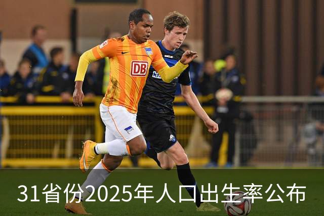 31省份2025年人口出生率公布